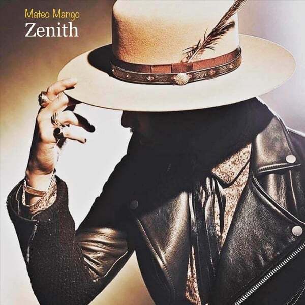 Cover art for Zenith